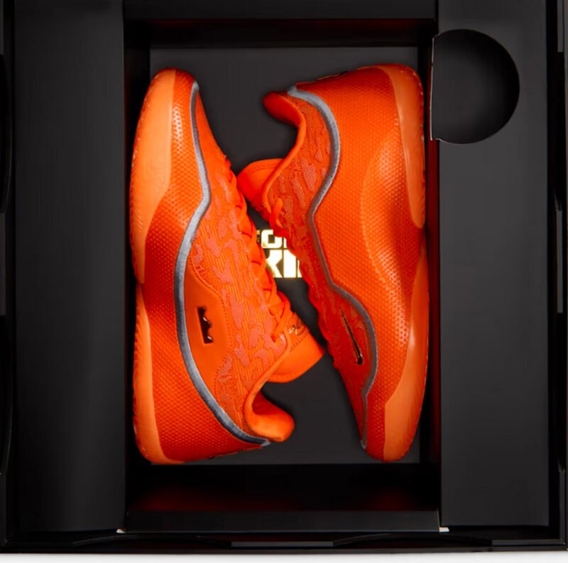 LEBRON XX111SHOE BAGS