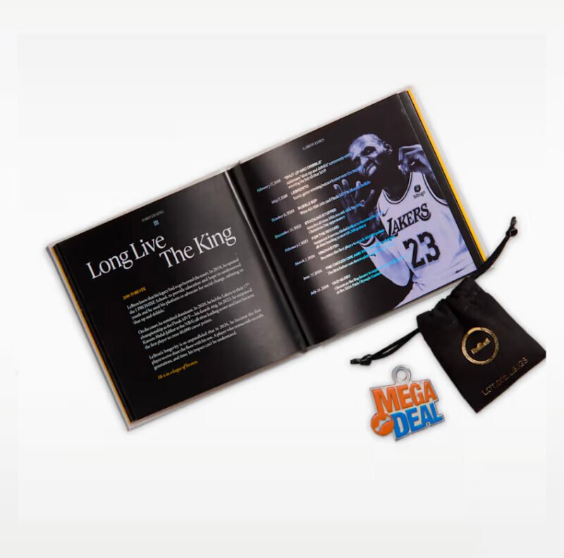 LEBRON XX111SHOE BAGS
