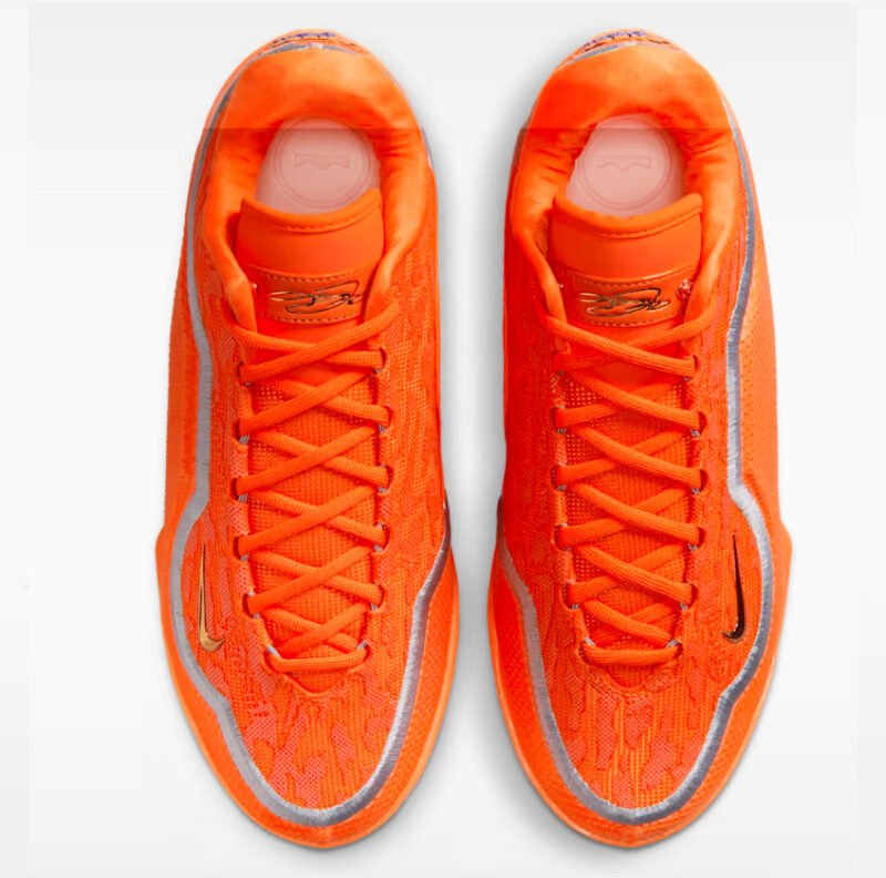 LEBRON XX111SHOE BAGS