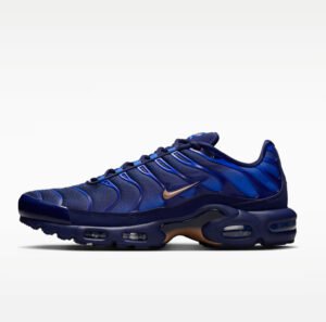 Nike Air Max PlUS OG (FFF)
