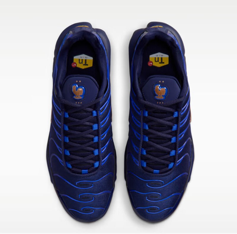 Nike Air Max PlUS OG (FFF)