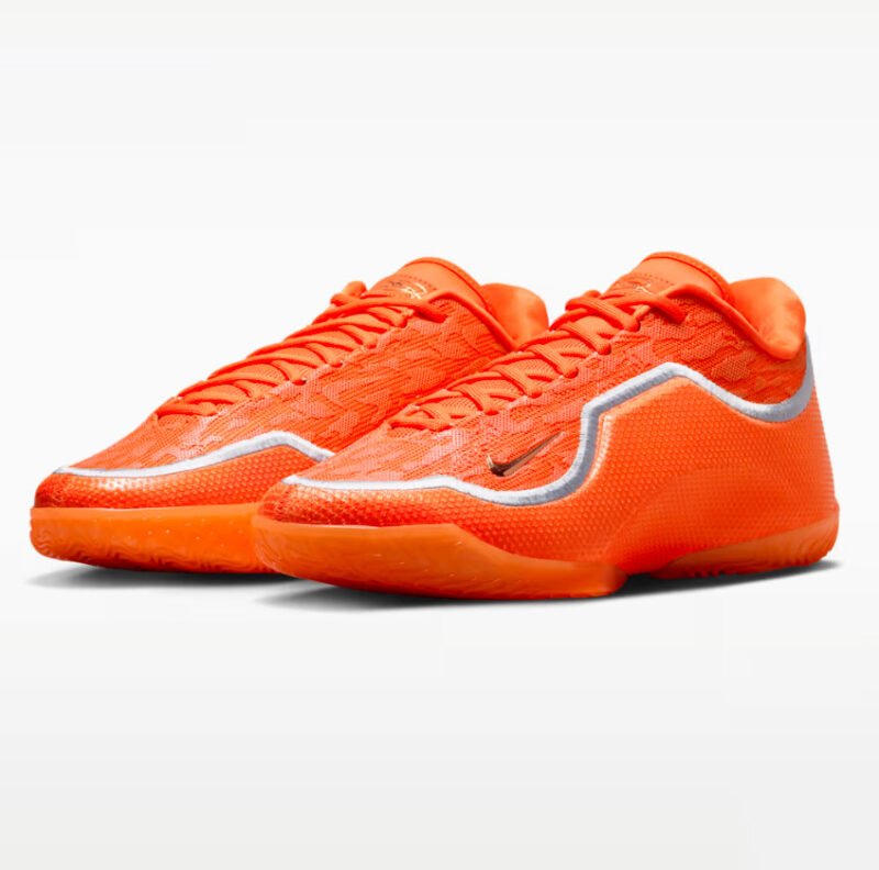 LEBRON XX111SHOE BAGS